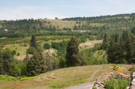 before picture labyrinth-0050