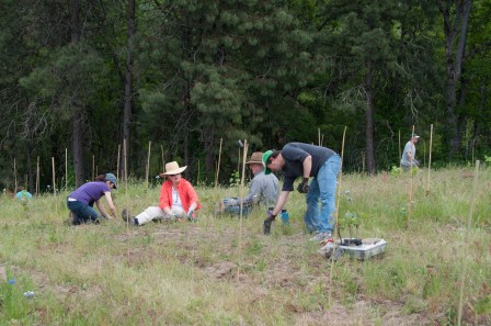 busy planting-0109