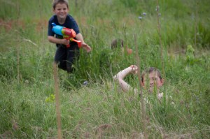 lions and tiggers oh my-0116