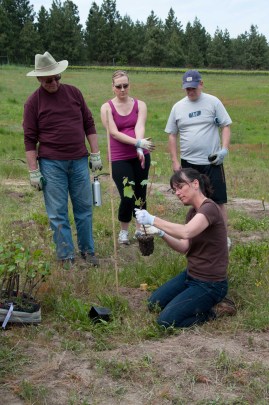 the first planting-0099
