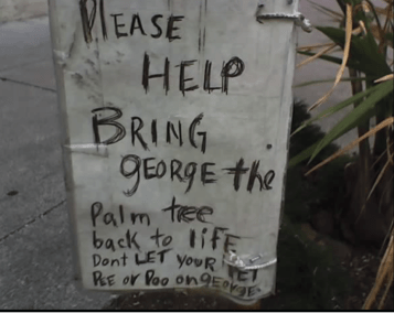 hall bring george back to life