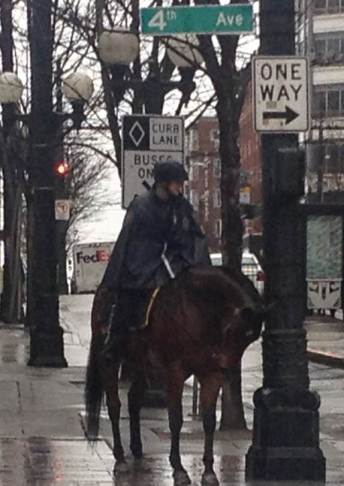rainy day police and horse