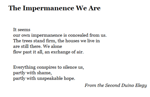 Impermanence We Are