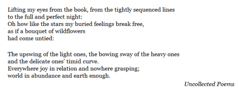Lifting My Eyes - Rilke